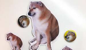 El perro se hizo famoso en las redes sociales