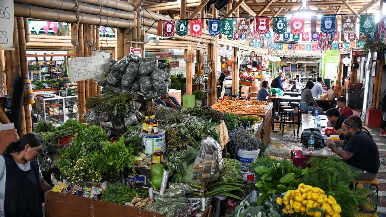 Proyecto renovación galeria Alameda