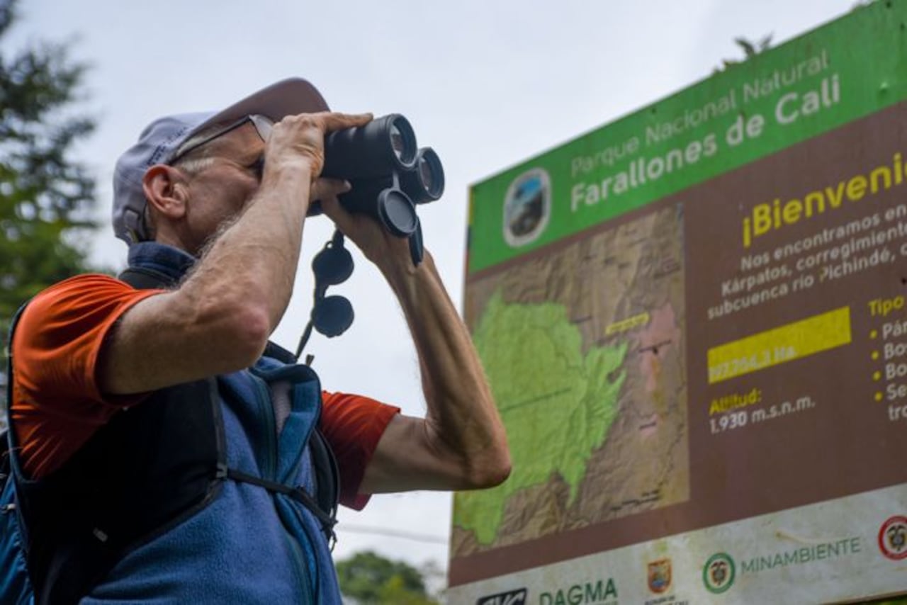Cali, la sucursal de la salsa y la naturaleza que atrae a millones de viajeros cada año