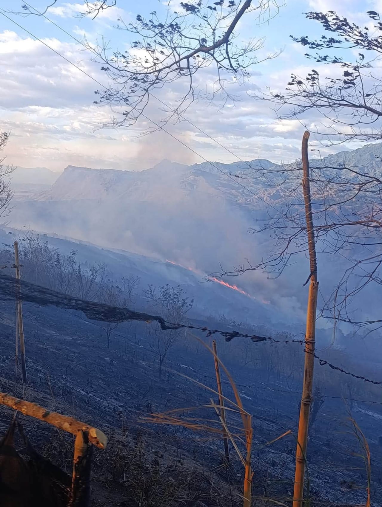 Nariño enfrenta una crisis ambiental sin precedentes con 149 incendios forestales registrados esta temporada; la magnitud de las conflagraciones ha llevado a la declaratoria de Calamidad Pública y Urgencia Manifiesta en el departamento.