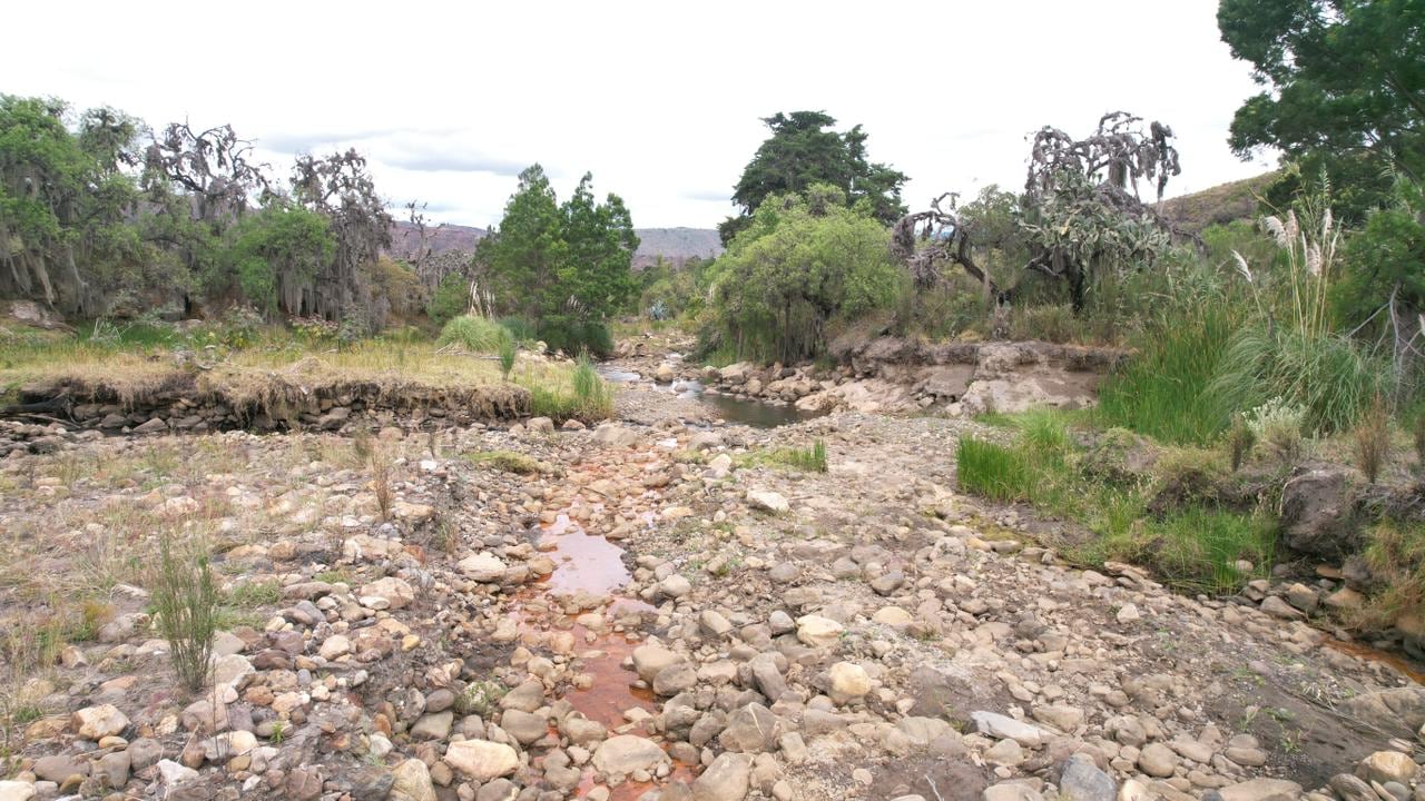 Las condiciones asociadas al fenómeno de El Niño ya se encuentran presentes en el océano Pacífico ecuatorial y se prevé que continúen fortaleciéndose durante el segundo semestre de 2026.