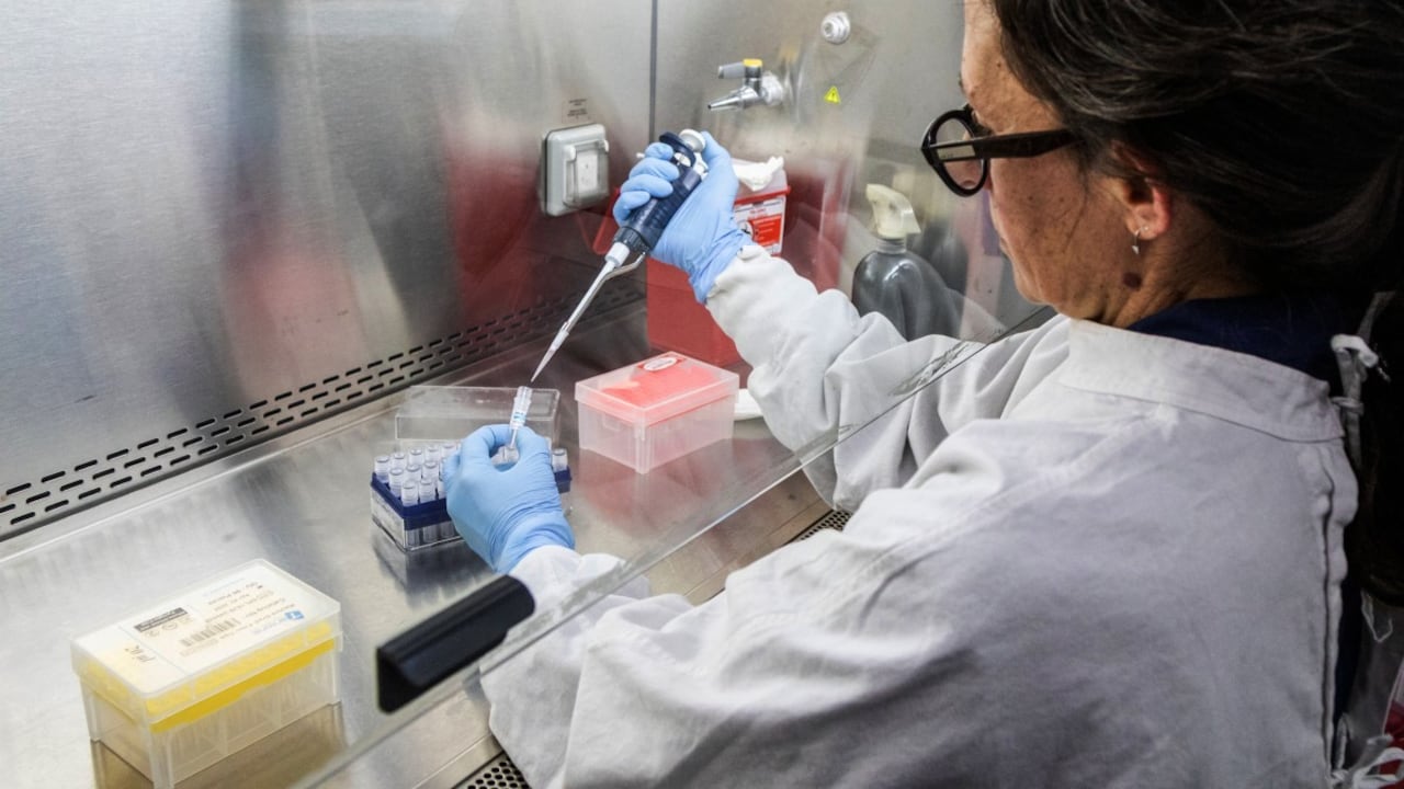 Esta fotografía, distribuida por el Ministerio de Salud de Argentina, muestra a un científico del Instituto Malbran manipulando contenedores utilizados para diagnosticar el hantavirus andino, que contienen ARN del virus como parte del proceso de detección, en Buenos Aires el 6 de mayo de 2026.