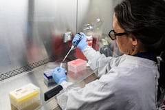Esta fotografía, distribuida por el Ministerio de Salud de Argentina, muestra a un científico del Instituto Malbran manipulando contenedores utilizados para diagnosticar el hantavirus andino, que contienen ARN del virus como parte del proceso de detección, en Buenos Aires el 6 de mayo de 2026.