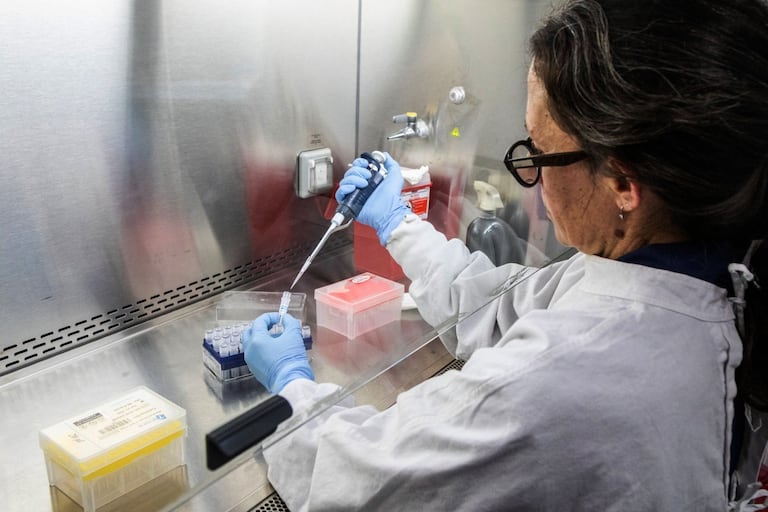 Esta fotografía, distribuida por el Ministerio de Salud de Argentina, muestra a un científico del Instituto Malbran manipulando contenedores utilizados para diagnosticar el hantavirus andino, que contienen ARN del virus como parte del proceso de detección, en Buenos Aires el 6 de mayo de 2026.