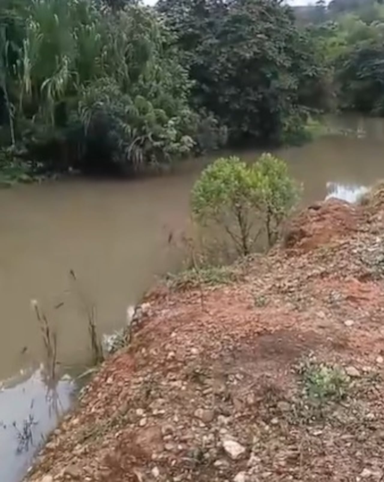 Por fortuna, la corriente de este afluente no registra obstáculos, como lo comprobaron los bomberos de este municipio del sur del Cauca.