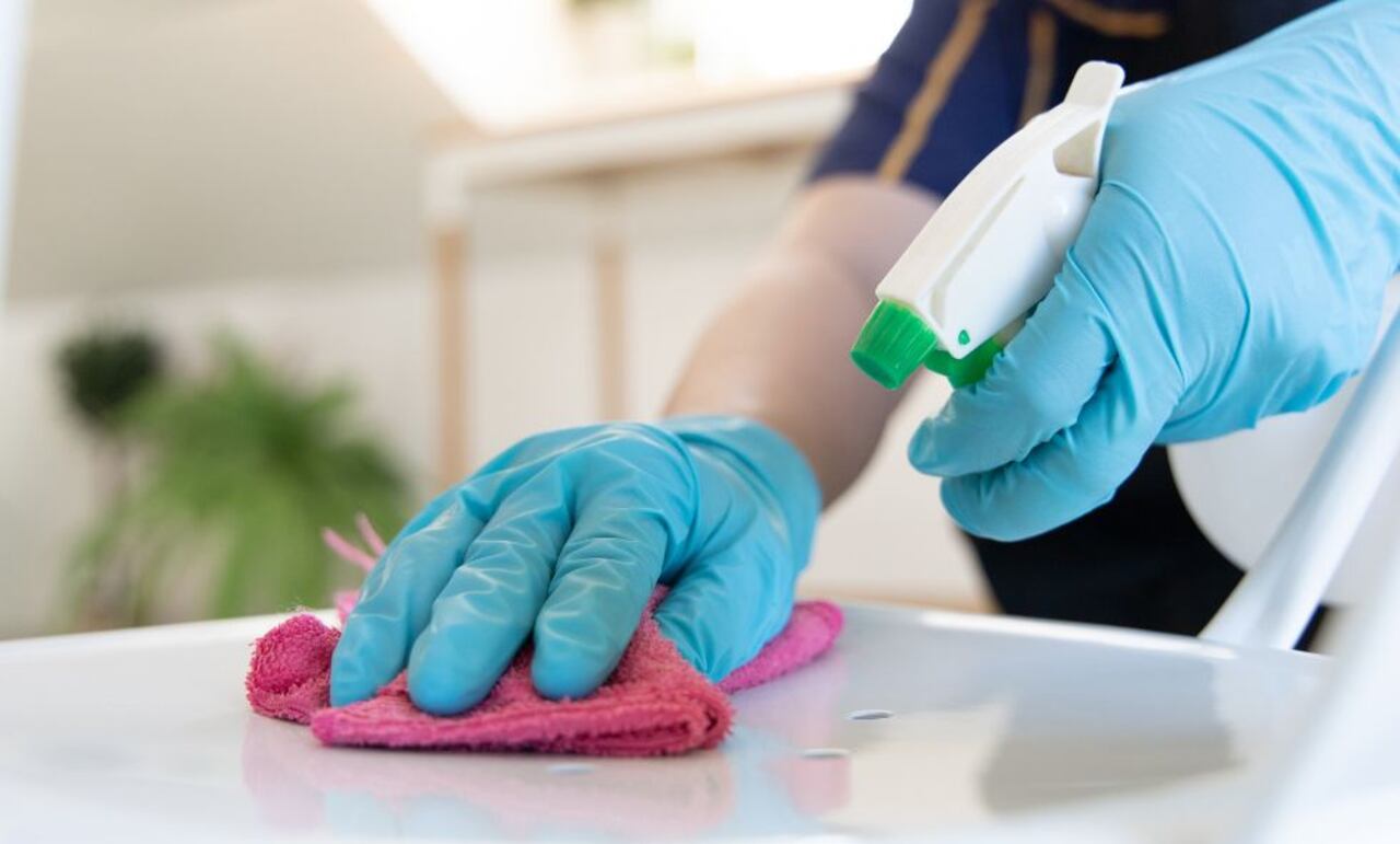 Limpieza de orín de gato.