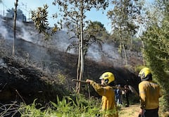 de 20Incendio forestal en la buitrera , Sep 21 23, en Cali Valle