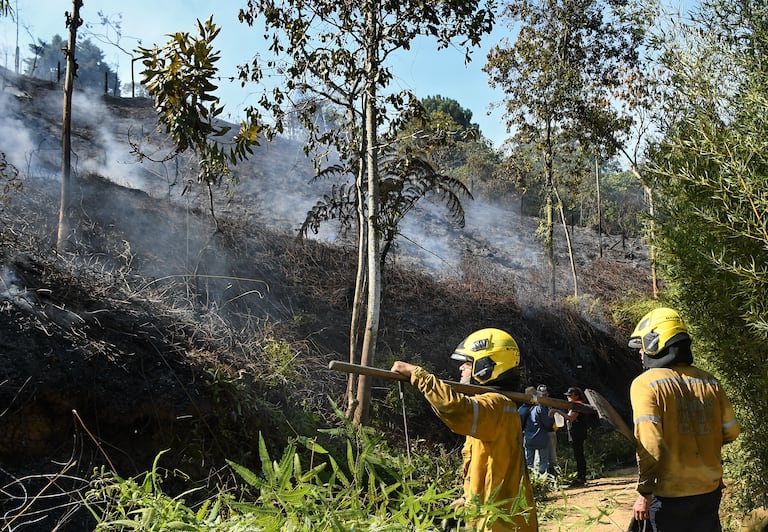de 20Incendio forestal en la buitrera , Sep 21 23, en Cali Valle