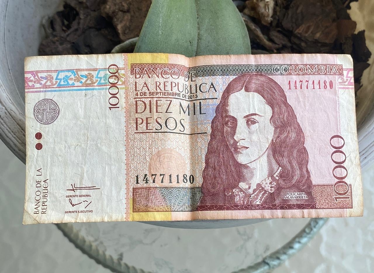 La pieza ofrecida por una tienda especializada tiene características particulares que podrían explicar su precio.