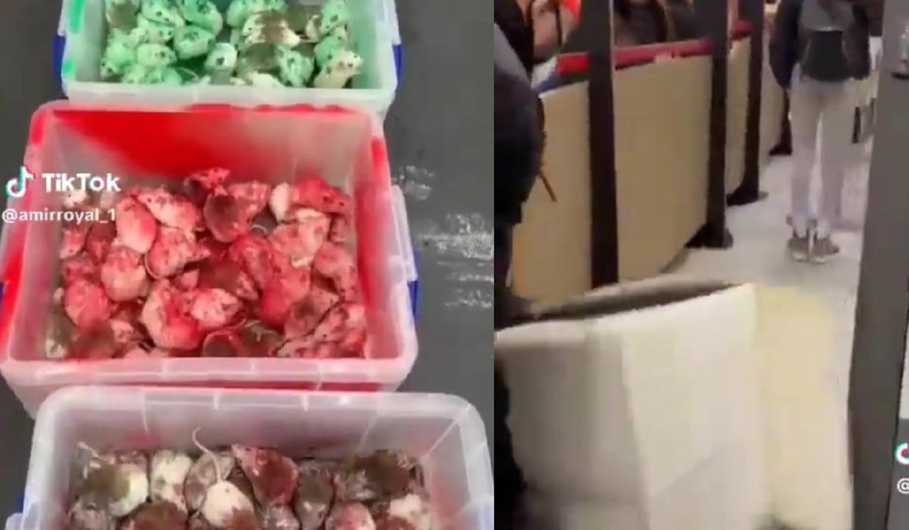 La policía de West Midlands dijo que está investigando el caso después de que "arrojaron roedores vivos a un restaurante".