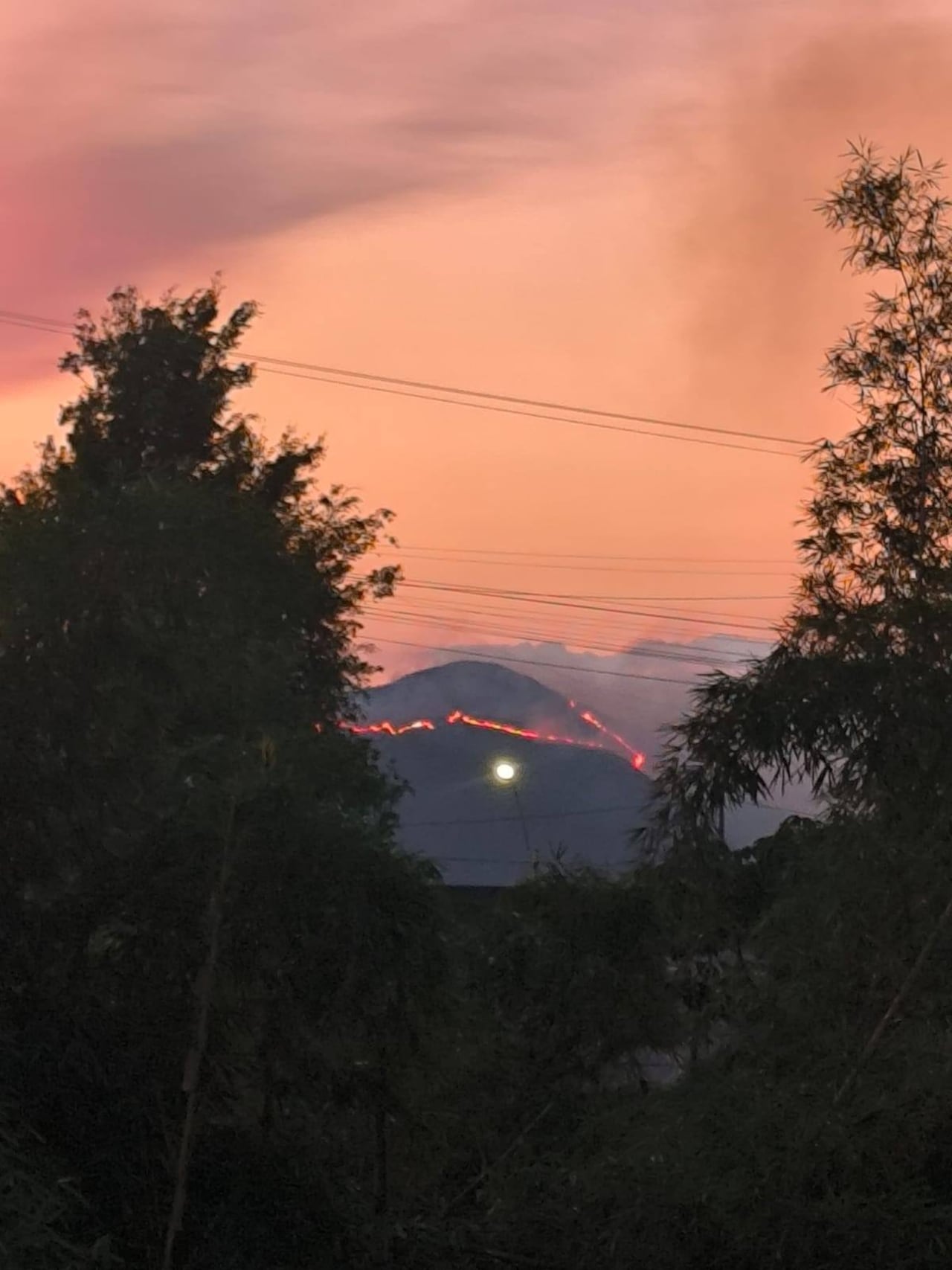 Devastación en el Cerro Garrapatero tras el incendio forestal que arrasó amplias zonas de vegetación, generando preocupación ambiental en la región.