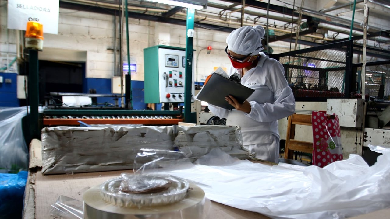 En el 2008 en total eran 44.000 mujeres empleadas y 11 años después esta cifra creció a 400.000.