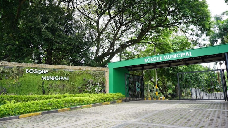 Bosque Municipal del Palmira