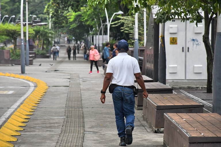 Cali: Un nuevo grupo de operarios (provicional) estan asignados al cuidado en el bulevar del rio. Foto José L Guzmán. El País