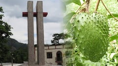 Tununguá, en el occidente del departamento, es conocido como la ‘capital mundial de la guanábana’.