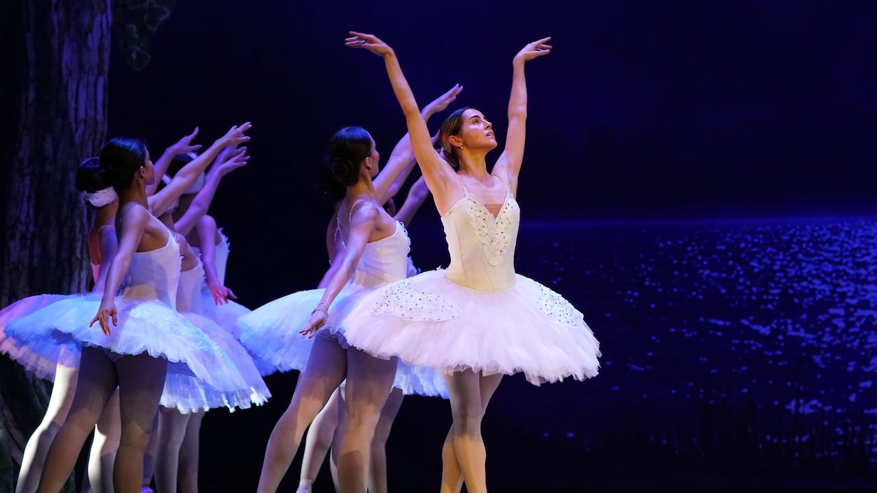 El Lago de los Cisnes, con la Compañía Colombiana de Ballet Clásico de INCOLBALLET, una majestuosa producción que vuelve a escena junto a la Banda Departamental del Valle del Cauca, con música en vivo. En el Teatro Municipal Enrique Buenaventura.