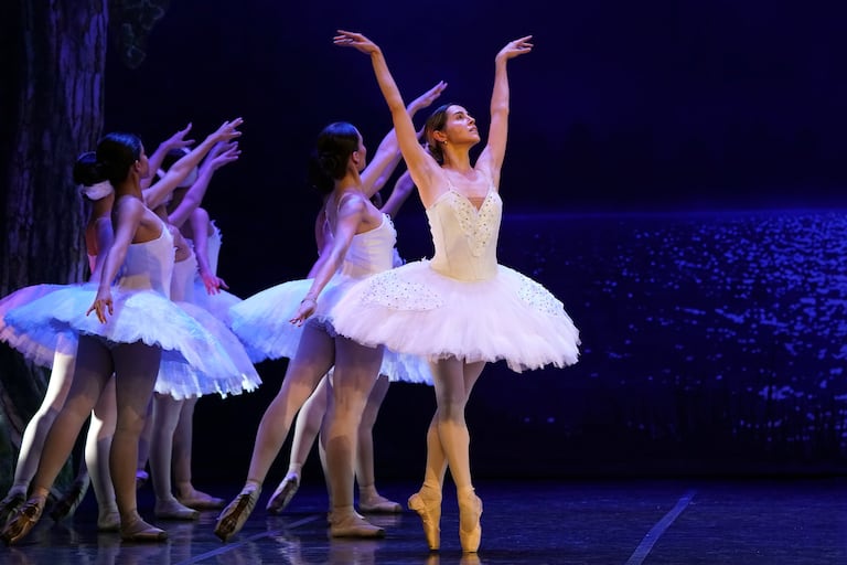 El Lago de los Cisnes, con la Compañía Colombiana de Ballet Clásico de INCOLBALLET, una majestuosa producción que vuelve a escena junto a la Banda Departamental del Valle del Cauca, con música en vivo. En el Teatro Municipal Enrique Buenaventura.