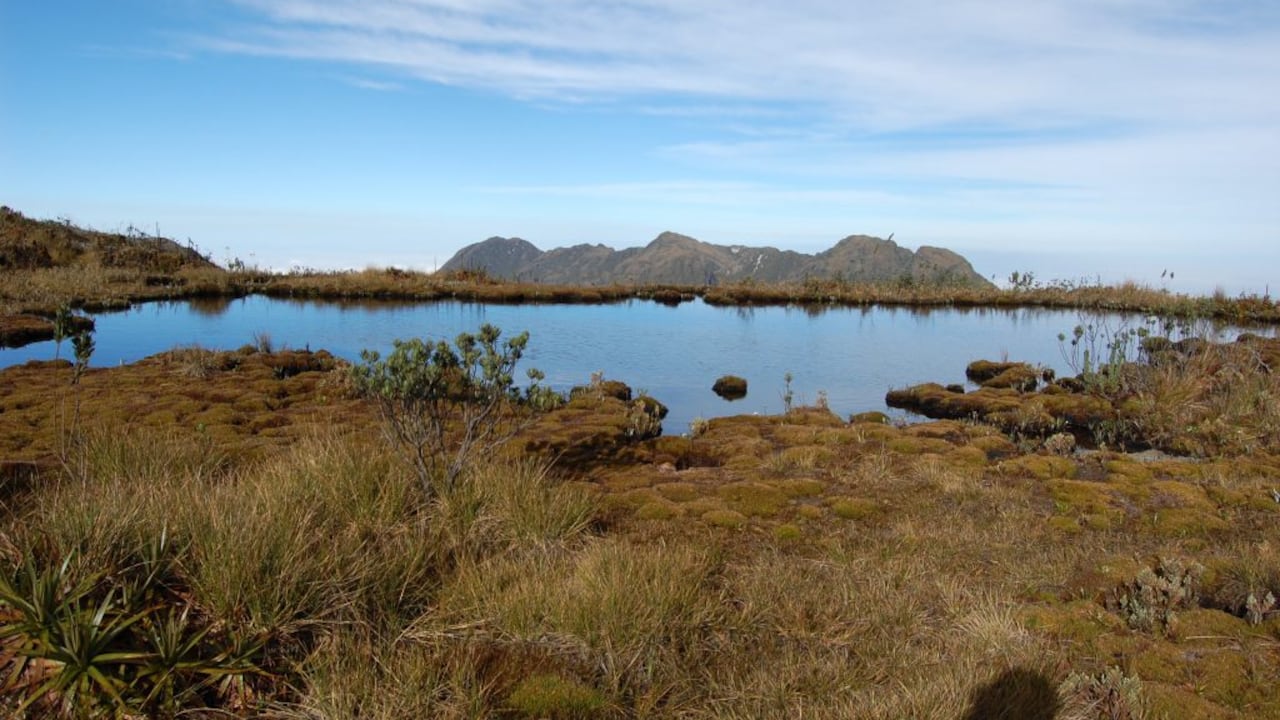 Pico Pance es una de las Zonas del Parque Natural Los Farallones de Cali, en donde es restringido el ecoturismo.