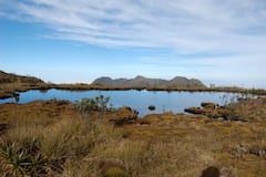 Pico Pance es una de las Zonas del Parque Natural Los Farallones de Cali, en donde es restringido el ecoturismo.