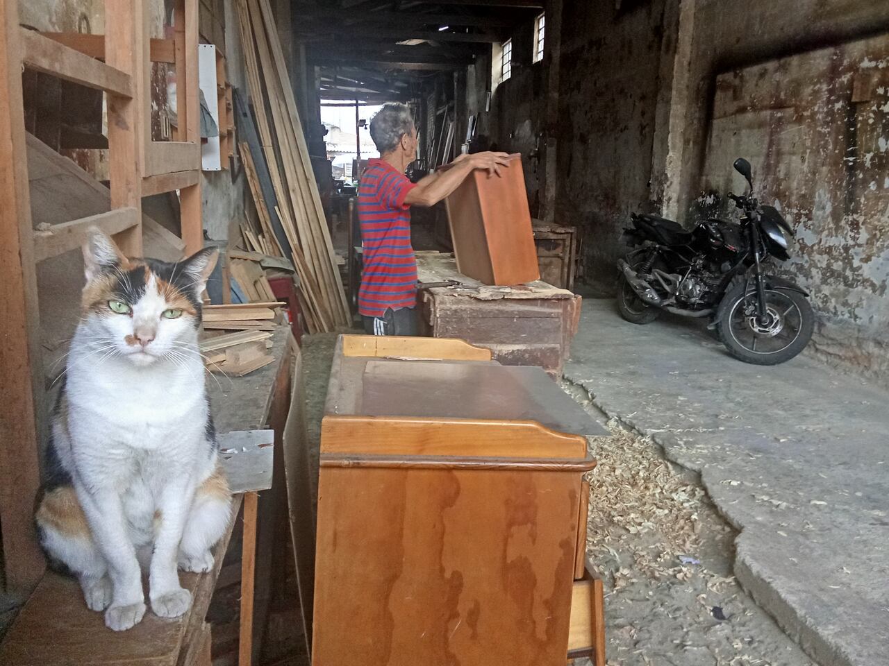 Rubiel Agudelo labora durante la semana en esta carpintería del barrio El Empedrado de Popayán, acompañado de dos gatos.