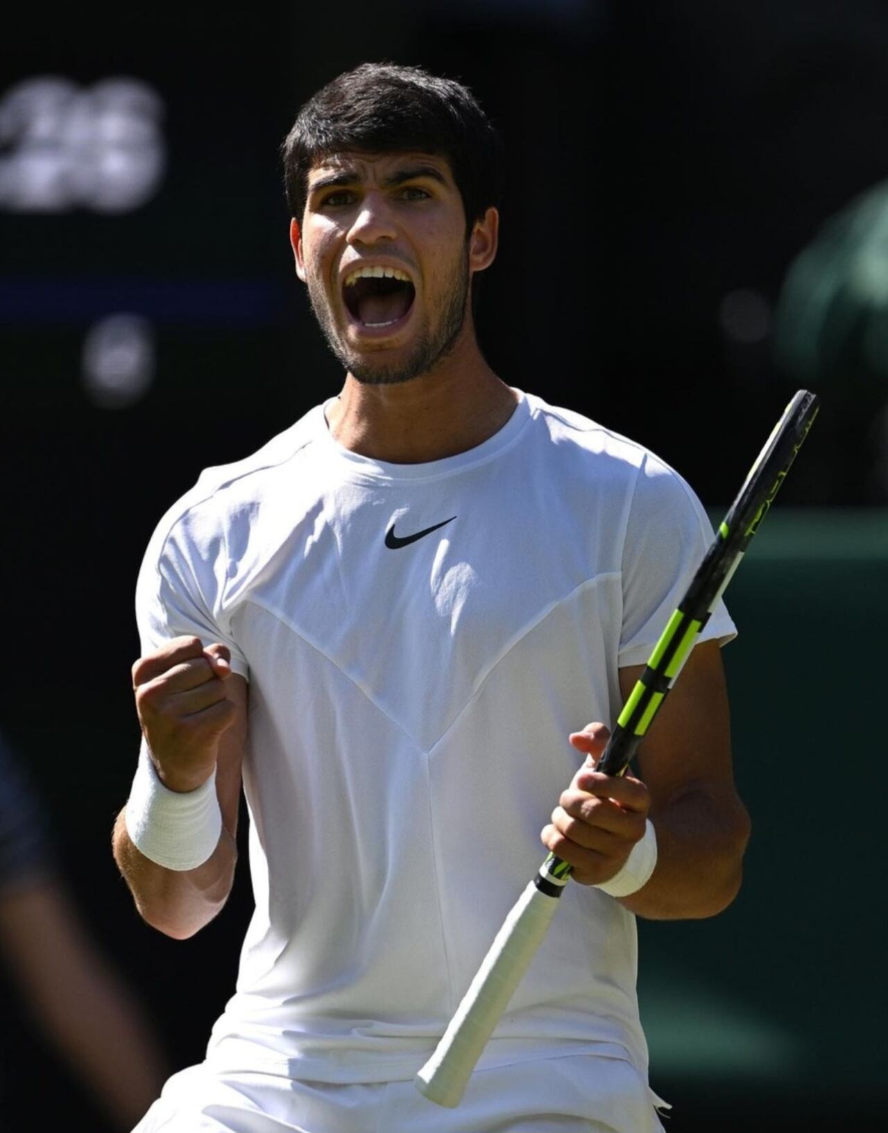 Carlos Alcaraz celebrando la victoria