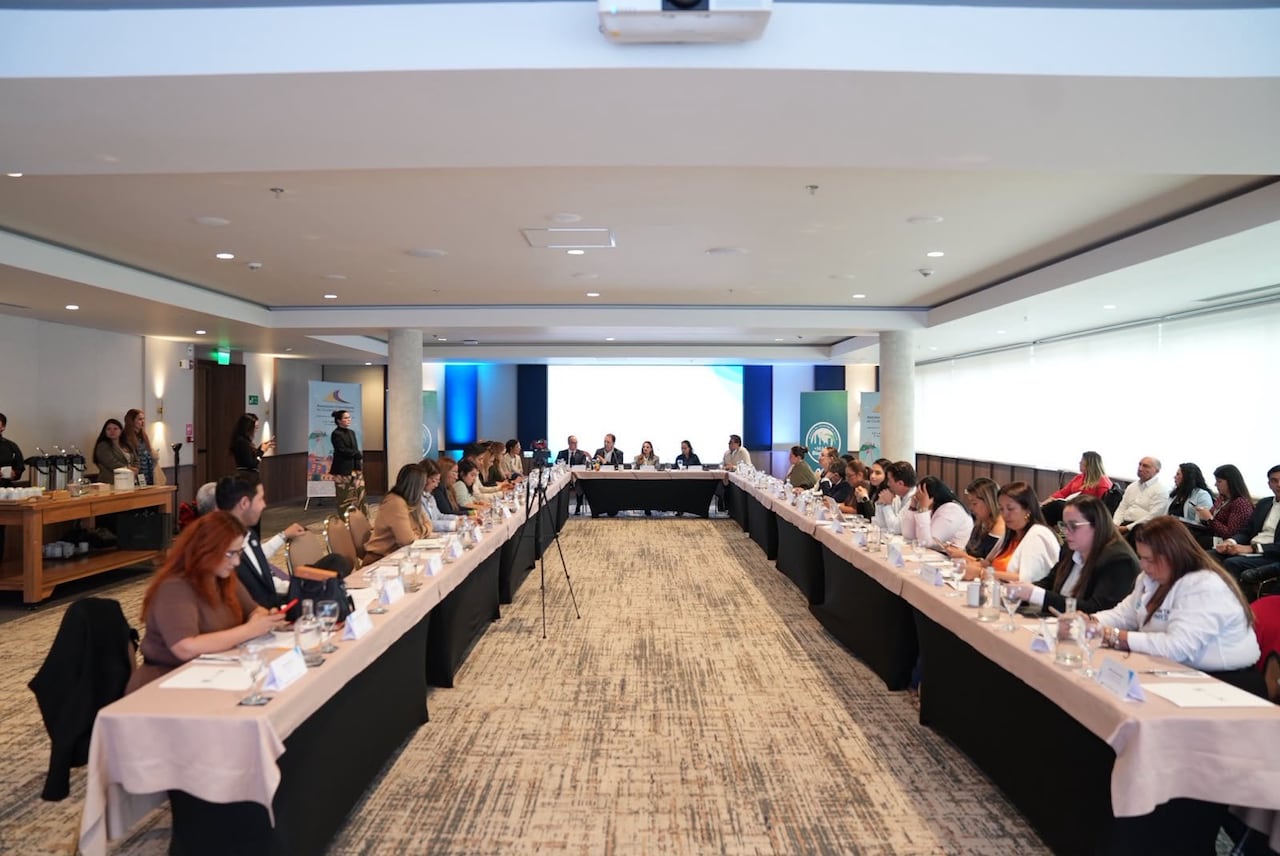 Asocapitales inició el diálogo entre las ciudades capitales y el Ministerio de Salud para llevar las principales alertas y propuestas de los territorios a la conversación nacional sobre salud.