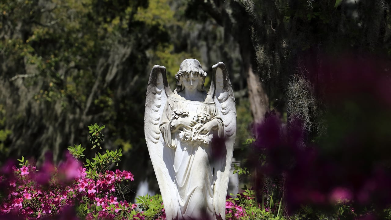 Descubra lo que los ángeles tienen reservado para su signo el 26 de julio.