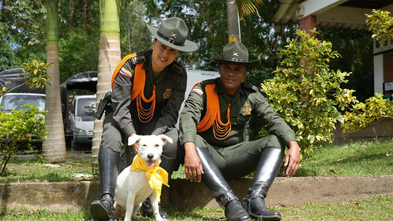 El patrullero Edinson Asprilla destacó que Mocho logró recuperarse gracias a los cuidados veterinarios y al acompañamiento permanente de los policías.