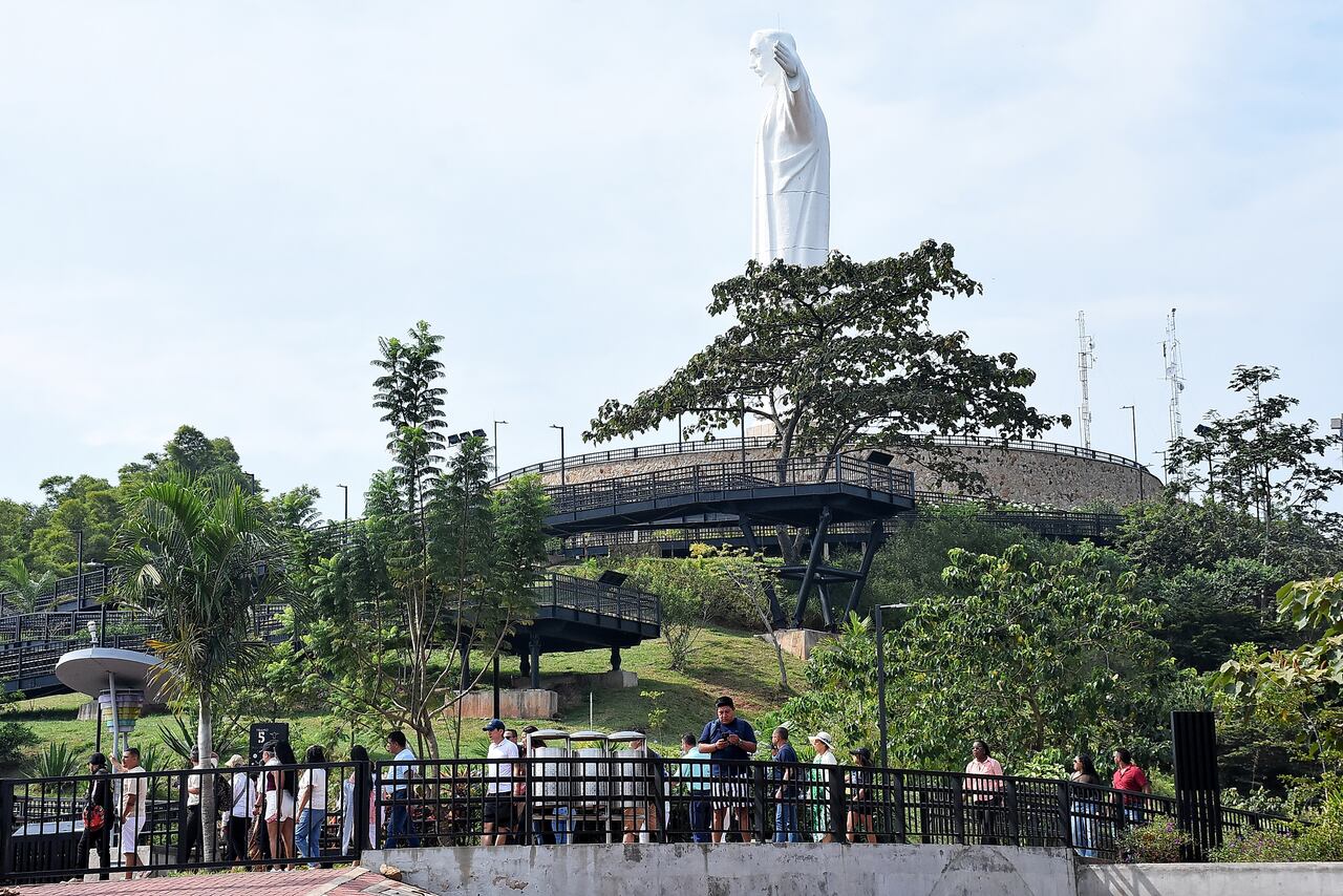 4km de barreras corta fuego para mitigar el efecto de los incendios forestales