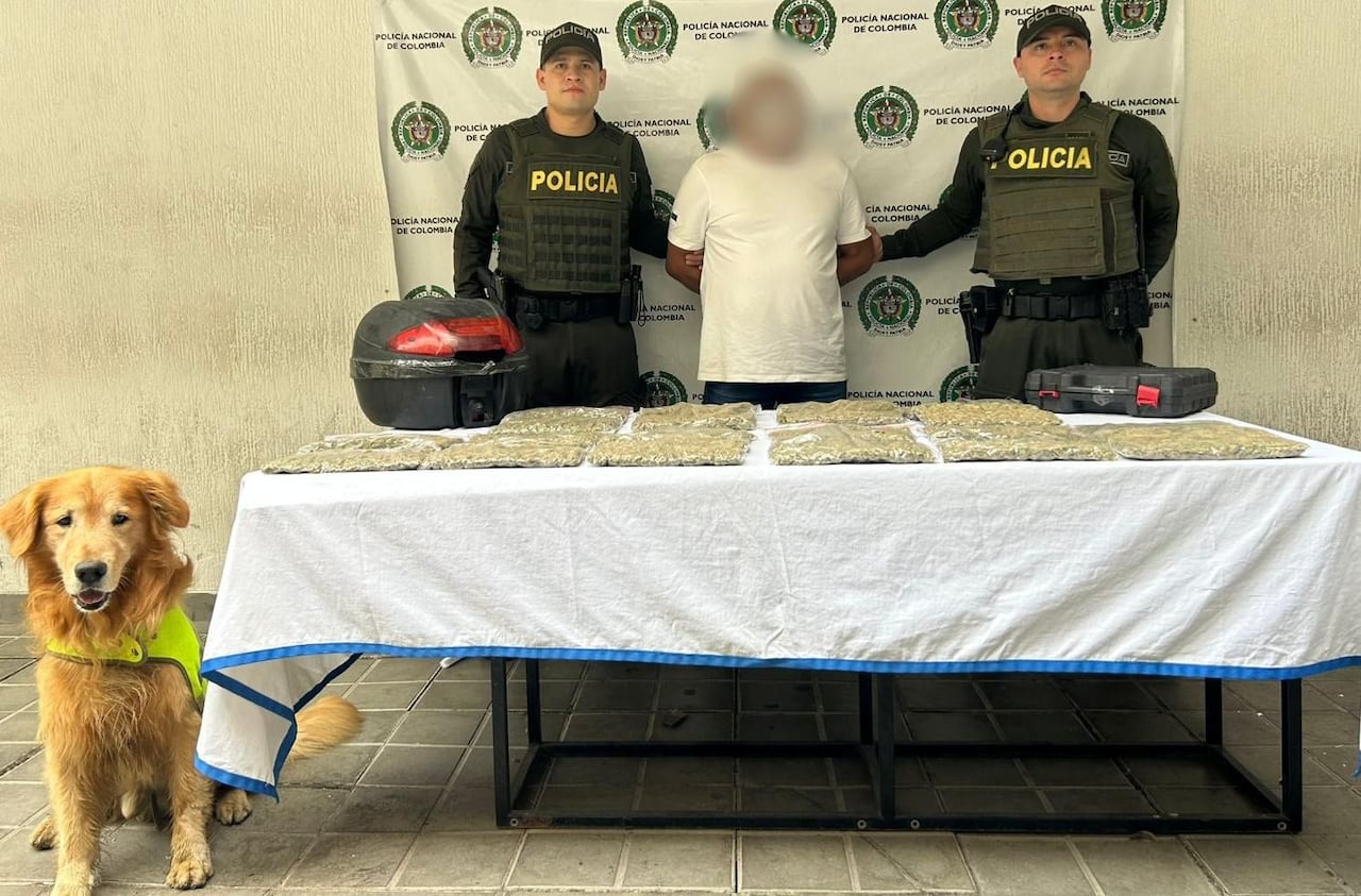 Los detenidos pretendían enviar 11 kilogramos de marihuana con destino al norte del país.
