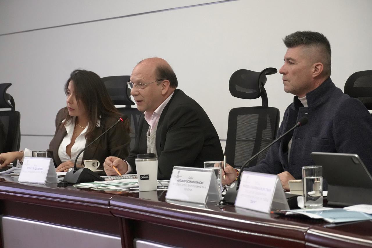 El ministro de Hacienda fue el delegado del actual gobierno nacional.