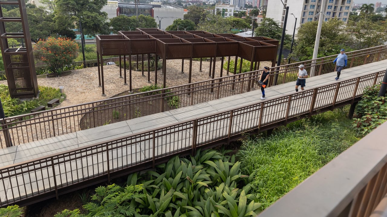 Entre aves, senderos y vegetación: el plan perfecto en Cali para desconectarse durante la Semana Santa es visitar Cristo Rey.