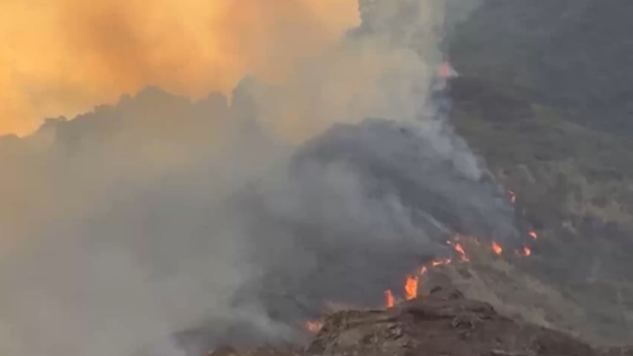 Los incendios forestales en el Valle del Cauca ya han consumido cientos de hectáreas de vegetación.