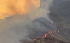 Los incendios forestales en el Valle del Cauca ya han consumido cientos de hectáreas de vegetación.