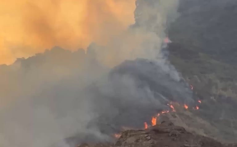 Los incendios forestales en el Valle del Cauca ya han consumido cientos de hectáreas de vegetación.