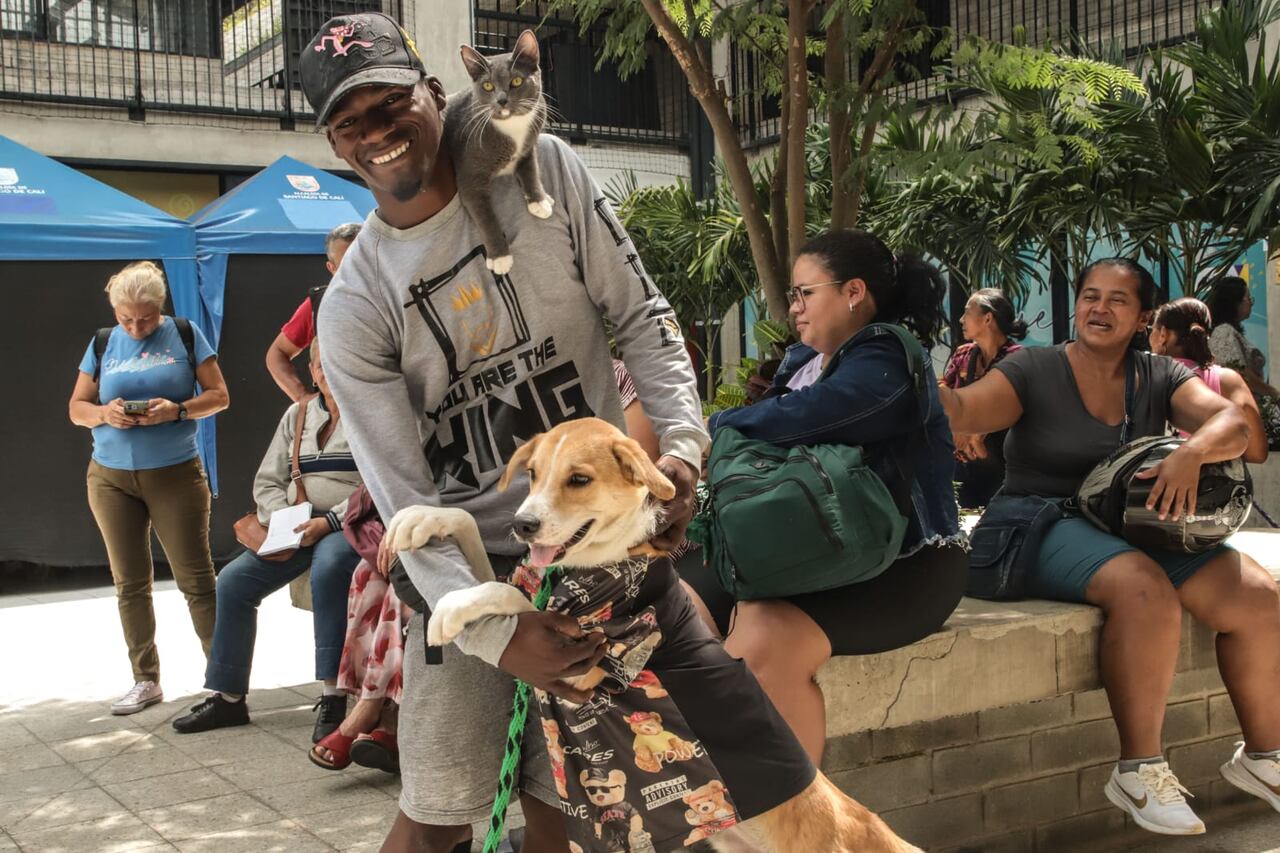 El Centro de Bienestar Animal de Cali advierte sobre las cinco enfermedades más frecuentes en los animales de compañía.