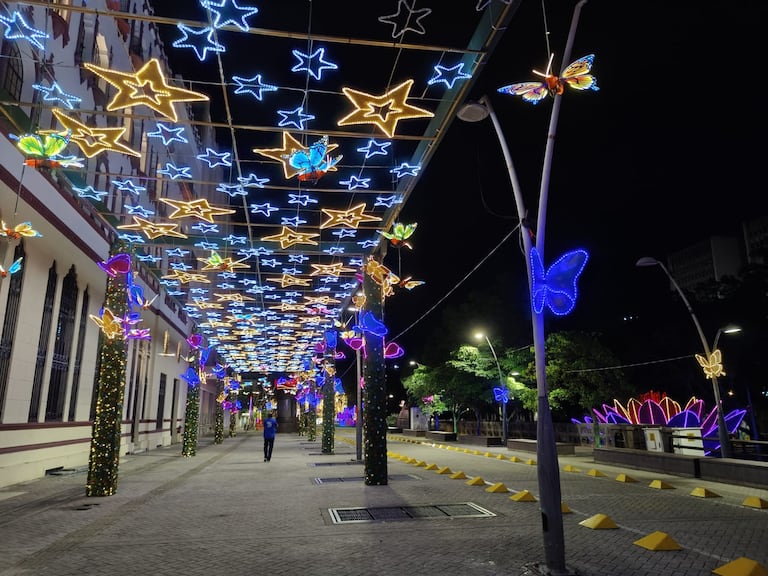 Alumbrado navideño Cali