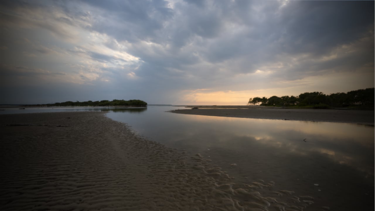 Santuario de Fauna y Flora Los Flamencos