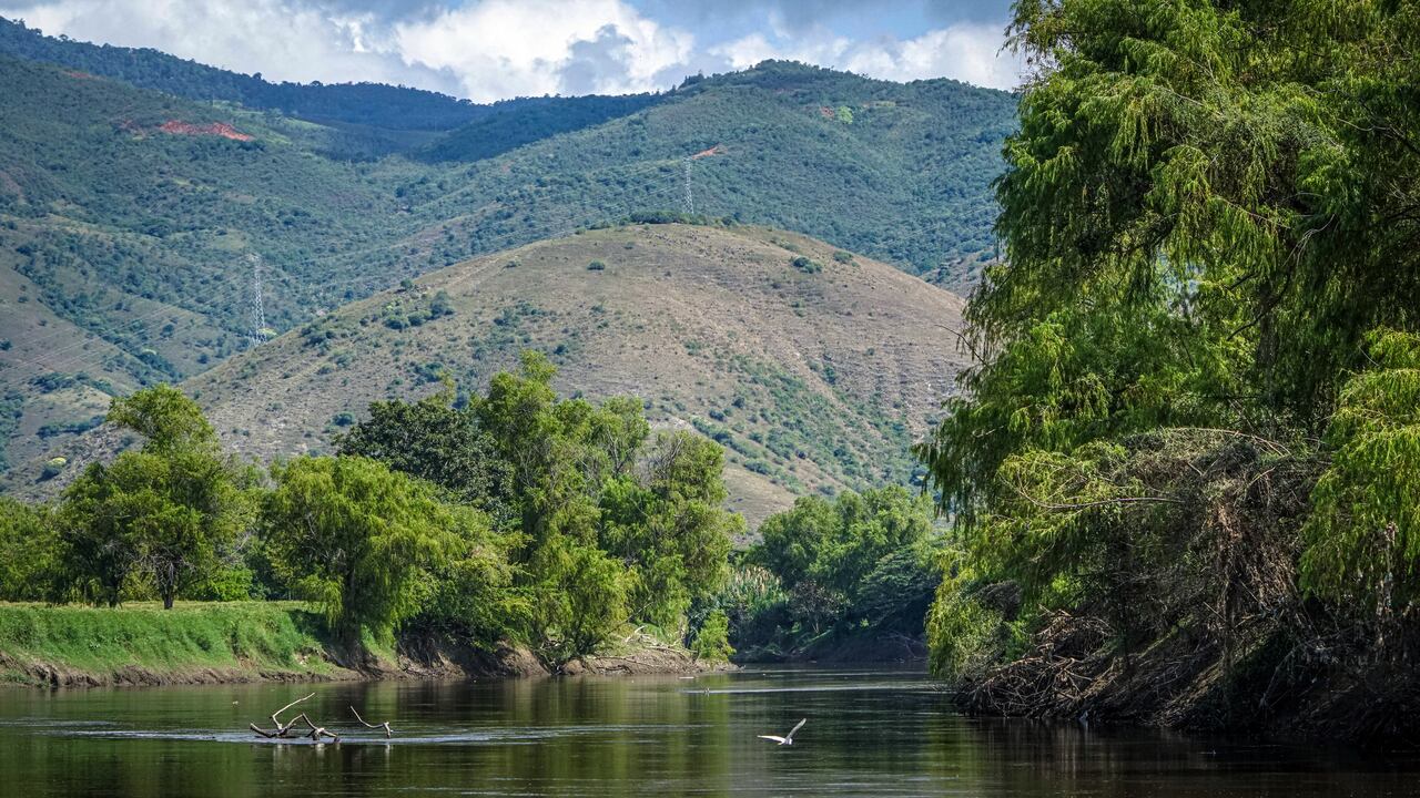 El río Cauca atraviesa al Valle del Cauca en un recorrido de 400 km que finaliza en Cartago. El punto más crítico de contaminación es Cali y Yumbo. A partir de Vijes, el río se recupera.
Foto Jorge Orozco/ El País