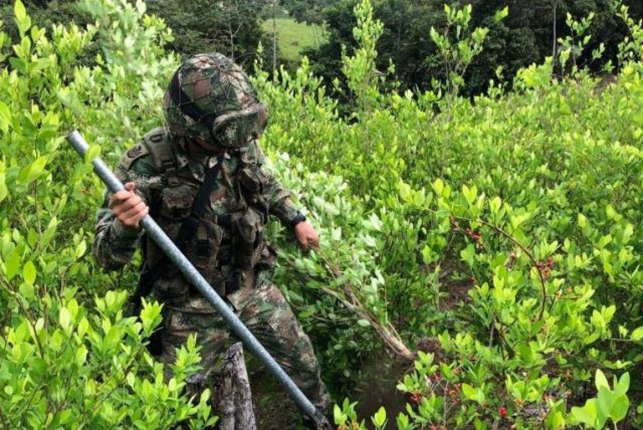 El Batallón de Infantería General Joaquín París Ricaurte, de San José del Guaviare, entre otras cosas, se dedica a la lucha frontal contra el narcotráfico.