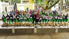 Productores agroecológicos de 24 municipios del Valle del Cauca se reunieron en el Coliseo de Ferias de Tuluá para compartir experiencias y recibir reconocimiento de la CVC por la implementación de prácticas sostenibles impulsadas desde 2020.