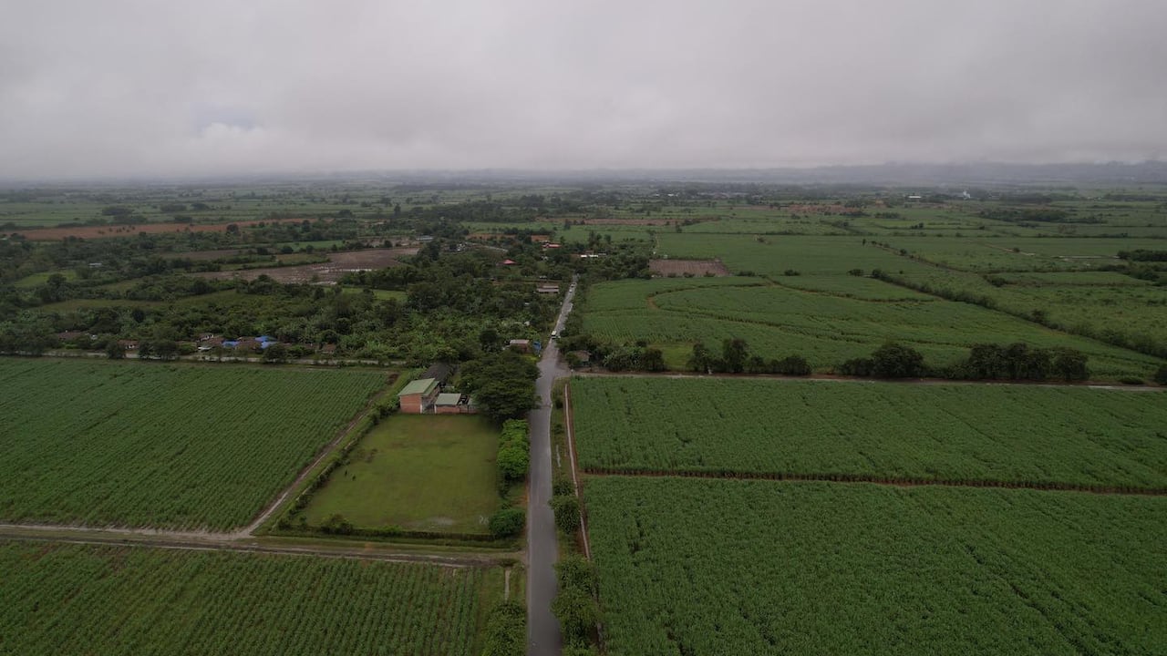 La pavimentación de varios kilómetros de la vía de acceso al municipio de Padilla permite mejorar la calidad de vida de las comunidades de este poblado nortecaucano.