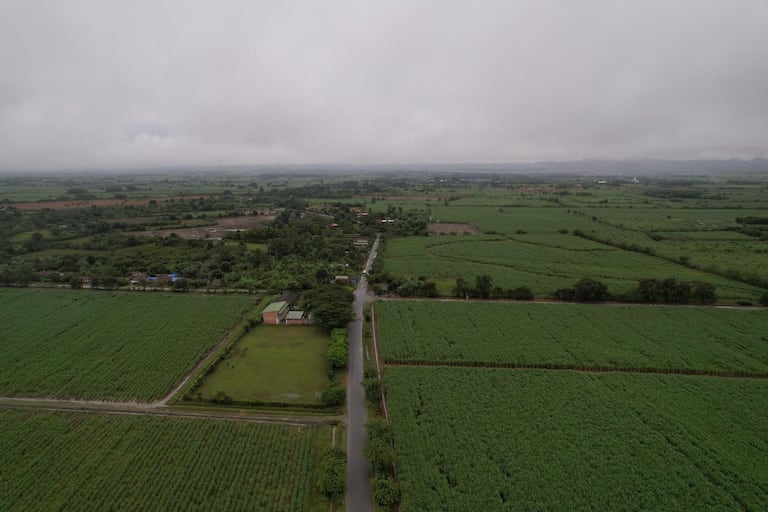 La pavimentación de varios kilómetros de la vía de acceso al municipio de Padilla permite mejorar la calidad de vida de las comunidades de este poblado nortecaucano.
