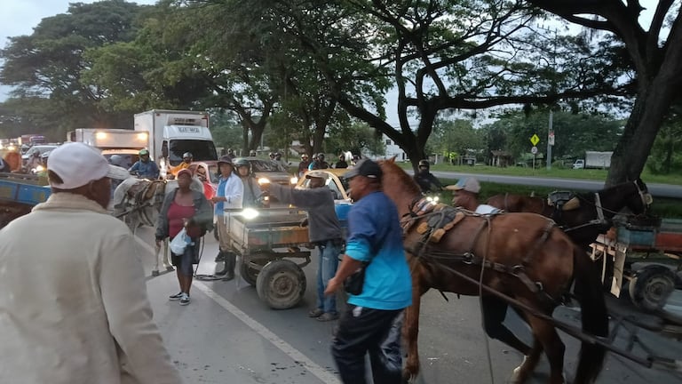 Conductores de vehículos de tracción animal exigen a la Alcaldía de Candelaria cumplir compromiso de la sustitución por vehículos de motor.