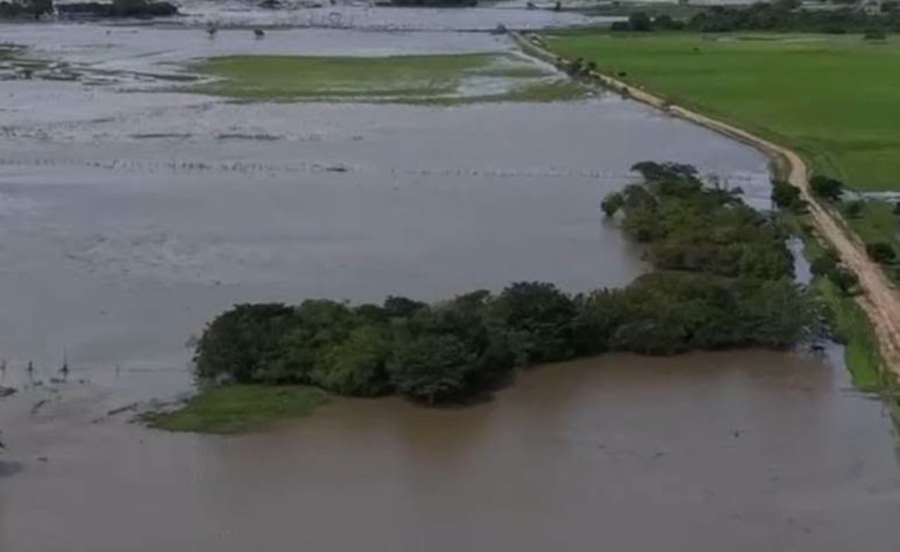 Las autoridades hicieron un llamado urgente a la comunidad para que no intente transitar por la vía La Nevera – Guanapalo, en dirección a San Luís de Palenque y Trinidad, debido a que el caño Guanapalo se desbordó en el sector de Palmar de Guanapalo, socavando la banca de la carretera y dejando el paso completamente