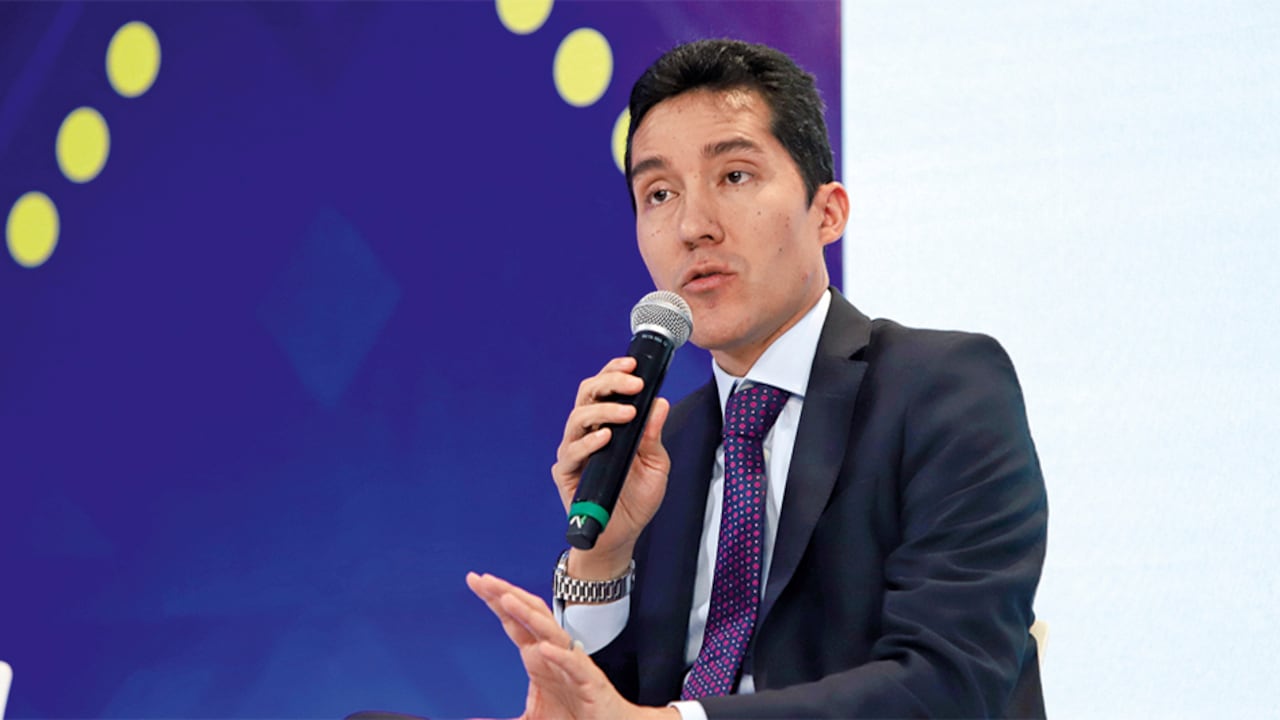 luis f. mejía Director de Fedesarrollo