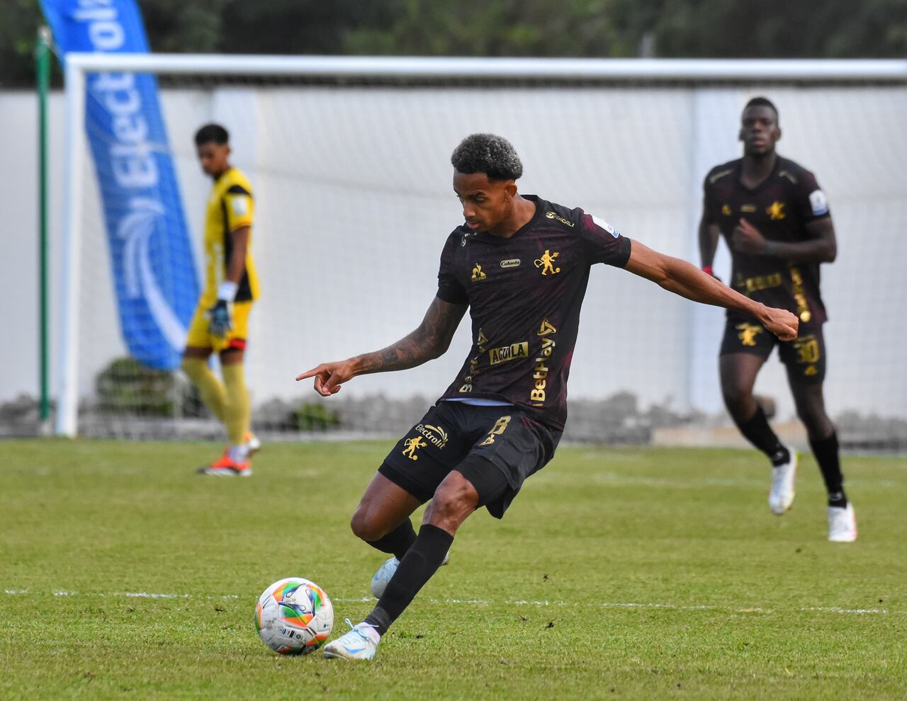 Imagen del partido entre Tigres y América de Cali, por la vuelta de la primera fase de la Copa Colombia 2025.