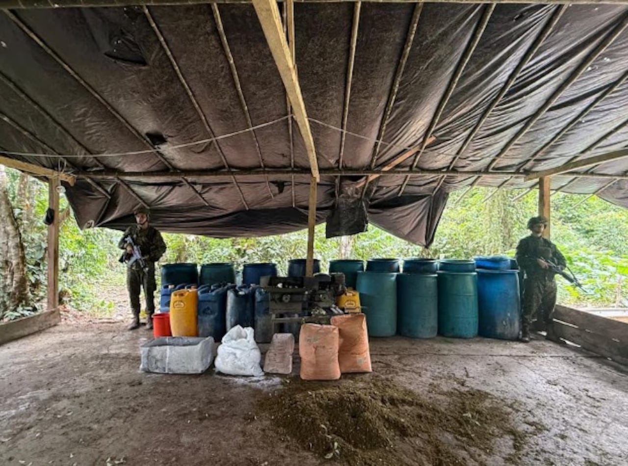 35 laboratorios de coca fueron desmantelados en Cauca y Nariño.