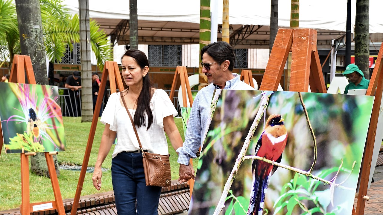 Cali: Birdfaid en Cali, feria de las aves. Exposiciones y charlas con los mejores pajareros participantes del evento. foto José L Guzmán. El País