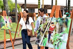 Cali: Birdfaid en Cali, feria de las aves. Exposiciones y charlas con los mejores pajareros participantes del evento. foto José L Guzmán. El País